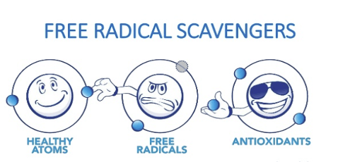 free Radical Scavengers image